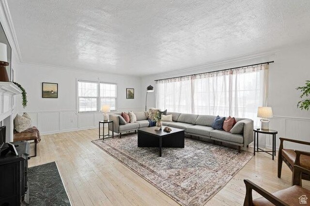 575 N 300 E, Tremonton, UT 84337 - living room featuring a textured ceiling, wainscoting, a decorative wall, and light wood-style floors