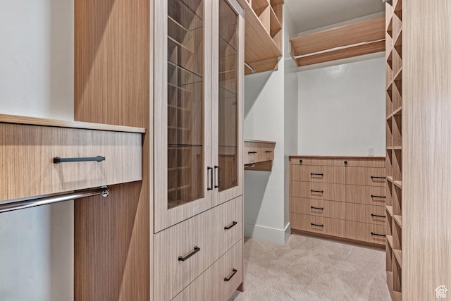 310 S Autumn Blaze Cir, Woodland Hills, UT 84653 - spacious closet with light colored carpet