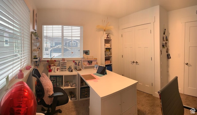 4694 E Lake Corner Dr, Eagle Mountain, UT 84005 - home office with carpet floors