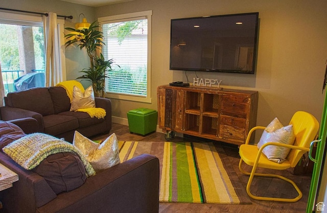 living room featuring hardwood / wood-style floors