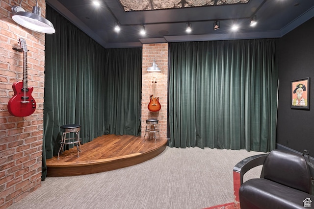 carpeted home theater with brick wall