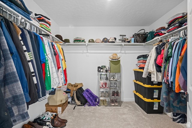 spacious closet featuring carpet floors