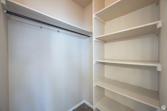 567 S 400 E, Moab, UT 84532 - view of spacious closet