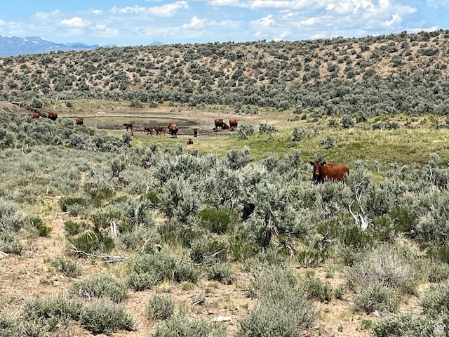 Elko, NV 89801