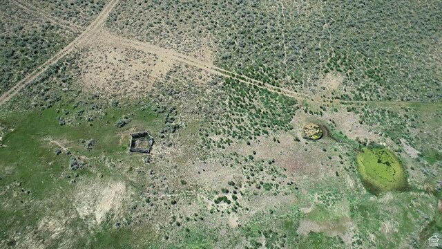 Elko, NV 89801