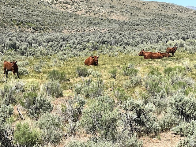 Elko, NV 89801