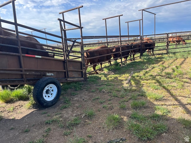 Elko, NV 89801