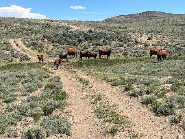 Elko, NV 89801