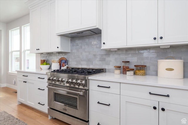 2998 N 1080 W, Lehi, UT 84043 - kitchen with light wood finished floors, high end range, light countertops, and decorative backsplash