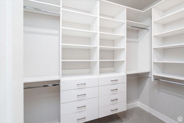 2998 N 1080 W, Lehi, UT 84043 - walk in closet featuring dark carpet