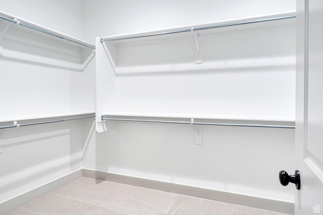 walk in closet featuring carpet flooring