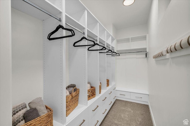 walk in closet featuring carpet