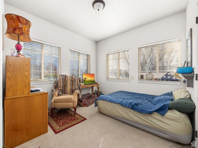 11085 S Grape Arbor Pl Unit 102, Sandy, UT 84070 - bedroom featuring a textured ceiling and carpet