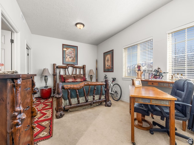 11085 S Grape Arbor Pl Unit 102, Sandy, UT 84070 - carpeted bedroom with a textured ceiling