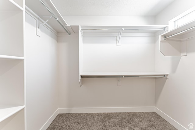 1091 N 3620 W Unit 272, Lehi, UT 84043 - walk in closet featuring carpet flooring