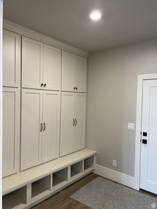 mudroom featuring dark wood-type flooring