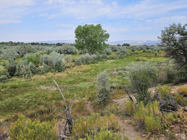 450 S 2850 E, Vernal, UT 84078 - photo 34