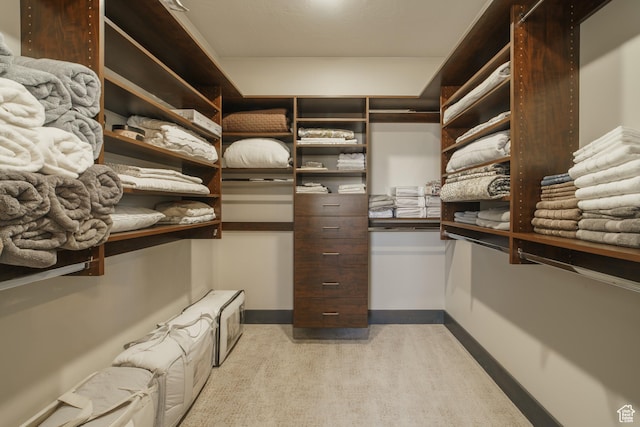 spacious closet featuring light colored carpet