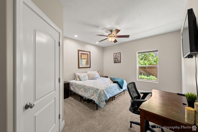 2867 E Crimson Rdg, St George, UT 84790 - photo 31