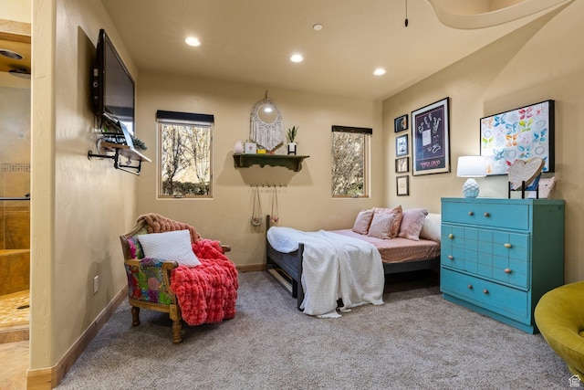 98 Bridge Rd, Rockville, UT 84763 - carpeted bedroom featuring recessed lighting and baseboards