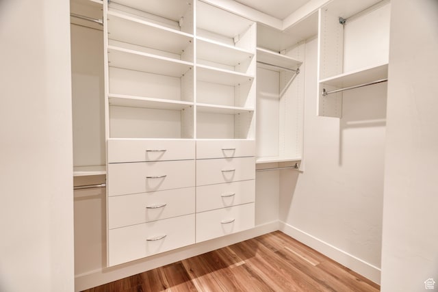 241 E 100 N Unit 3, Moab, UT 84532 - spacious closet featuring light wood-type flooring