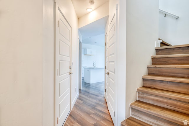241 E 100 N Unit 3, Moab, UT 84532 - staircase with wood-type flooring and sink