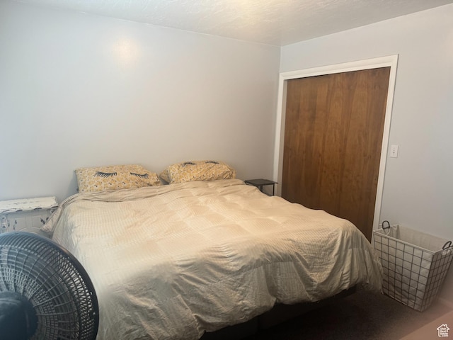 425 E 100 S, Mount Pleasant, UT 84647 - bedroom featuring a closet