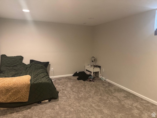 425 E 100 S, Mount Pleasant, UT 84647 - unfurnished bedroom with carpet