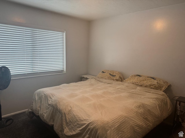 425 E 100 S, Mount Pleasant, UT 84647 - bedroom with carpet