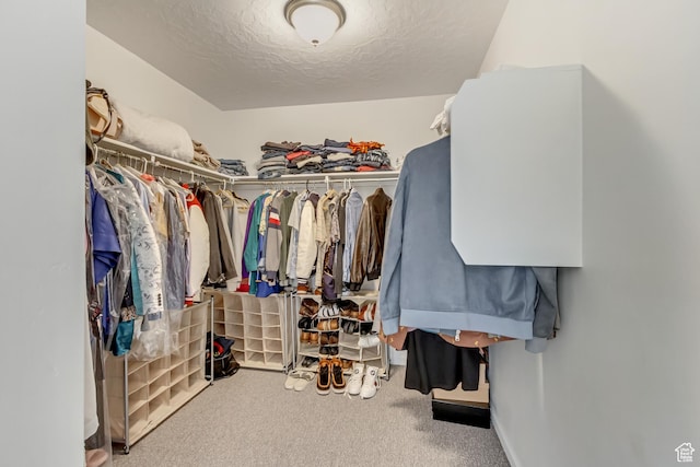 739 W Wild Hyacinth Dr, Saratoga Springs, UT 84045 - walk in closet with carpet floors