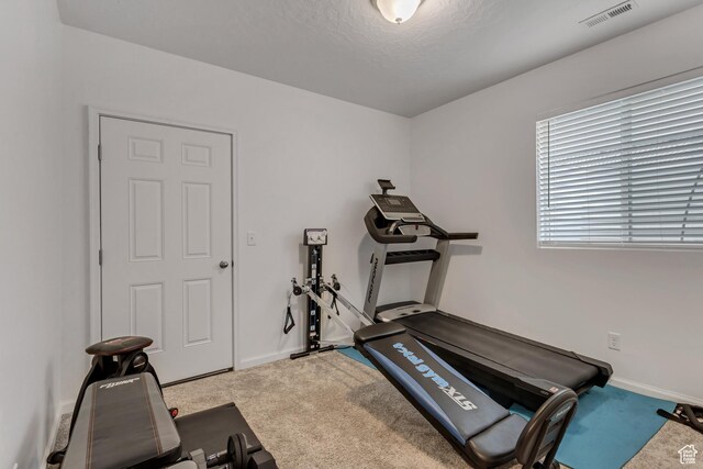 739 W Wild Hyacinth Dr, Saratoga Springs, UT 84045 - workout area featuring light colored carpet and a textured ceiling