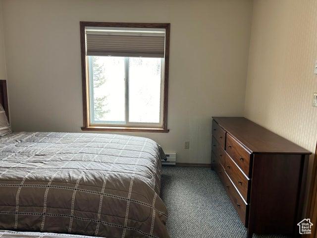 150 W Ridge View St Unit 241, Brian Head, UT 84719 - bedroom with a baseboard heating unit and carpet flooring