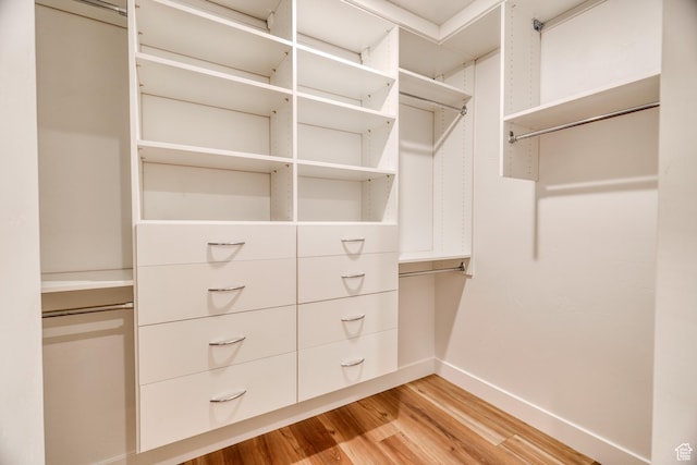241 E 100 N Unit 4, Moab, UT 84532 - spacious closet with light hardwood / wood-style floors