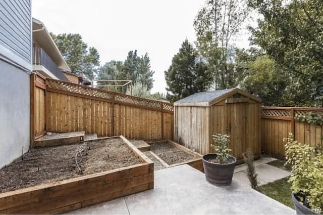 view of patio / terrace with a shed