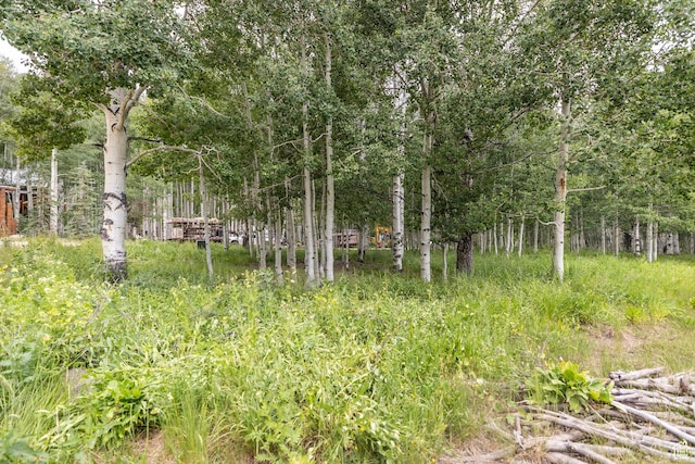 11911 E Antelope Dr Unit 2022, Heber City, UT 84032 - photo 12