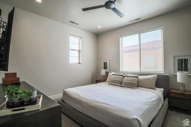 3780 Arcadia Dr Unit 51, Santa Clara, UT 84765 - bedroom with ceiling fan and a textured ceiling