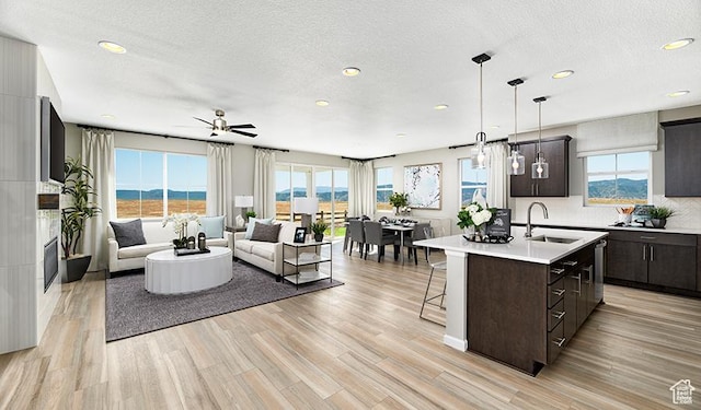 kitchen featuring sink, decorative light fixtures, light hardwood / wood-style floors, and an island with sink