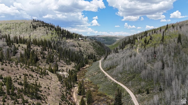 Unit 77E, Fairview, UT 84629