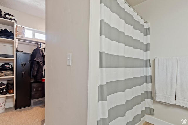 2390 W Jade Way Unit 2, West Haven, UT 84401 - bathroom featuring a shower with curtain