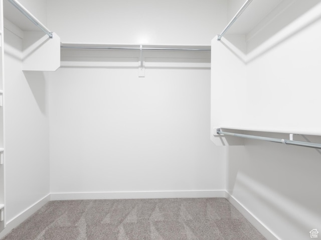 3047 N 2875 W Unit 7, Plain City, UT 84404 - walk in closet with carpet