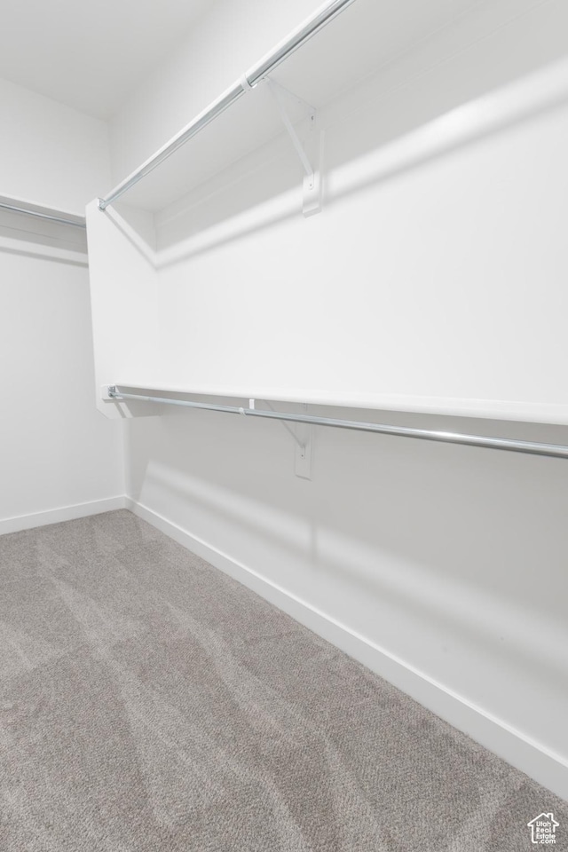 3047 N 2875 W Unit 7, Plain City, UT 84404 - walk in closet featuring carpet