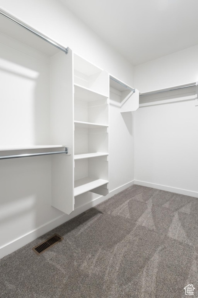 3047 N 2875 W Unit 7, Plain City, UT 84404 - walk in closet featuring carpet floors