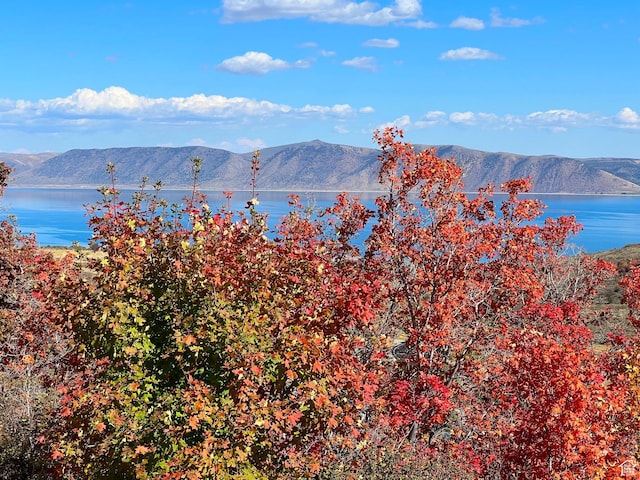 950 S Boosway Cir Unit 71, Garden City, UT 84028