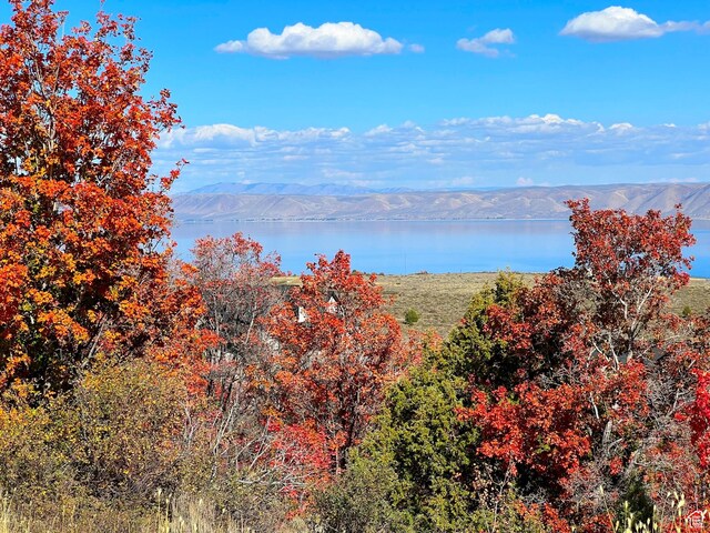 950 S Boosway Cir Unit 71, Garden City, UT 84028