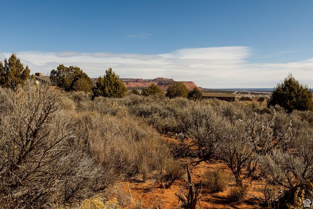 view of landscape featuring a rural view