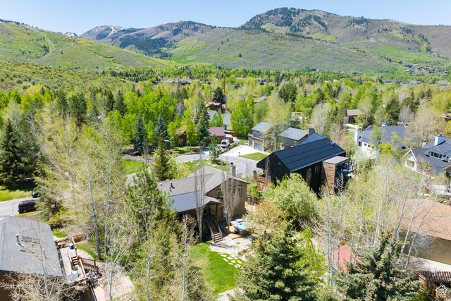 858 Red Maple Ct, Park City, UT 84060 - photo 49