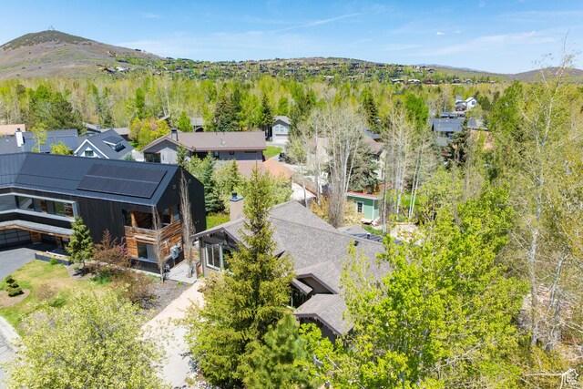 858 Red Maple Ct, Park City, UT 84060 - photo 47