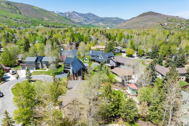 858 Red Maple Ct, Park City, UT 84060 - photo 48