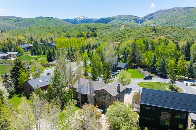 858 Red Maple Ct, Park City, UT 84060 - photo 51