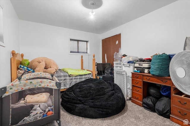 180 W 300 S, Fillmore, UT 84631 - view of carpeted bedroom
